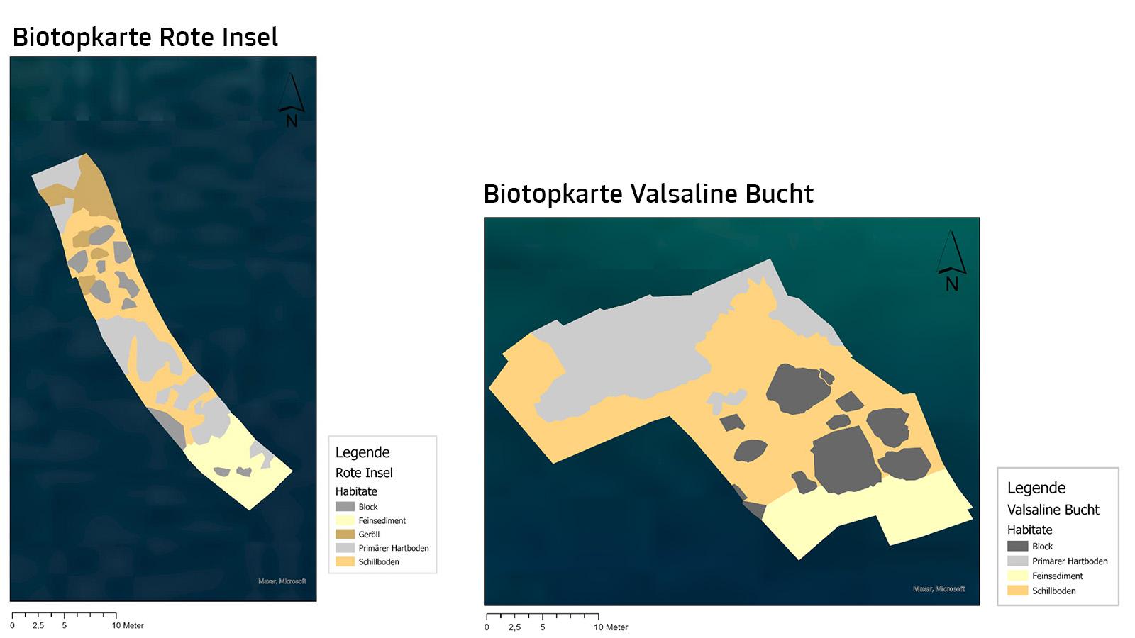 Biotopkarte von der Valsaline Bucht in Pula (Nähe Meeresschule) und der Roten Insel in Rovinj für das Catshark Projekt